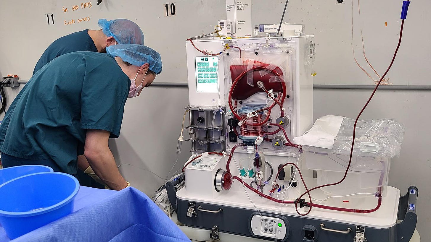 A white machine is shown, holding a pig's liver for organ donation. Two surgeons tend to the machine.