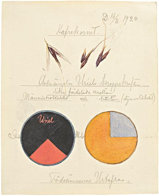 a graphite and watercolor drawing on paper of oat plants in the top half and two side-by-side circle graphs on the bottom, annotated with words in Swedish