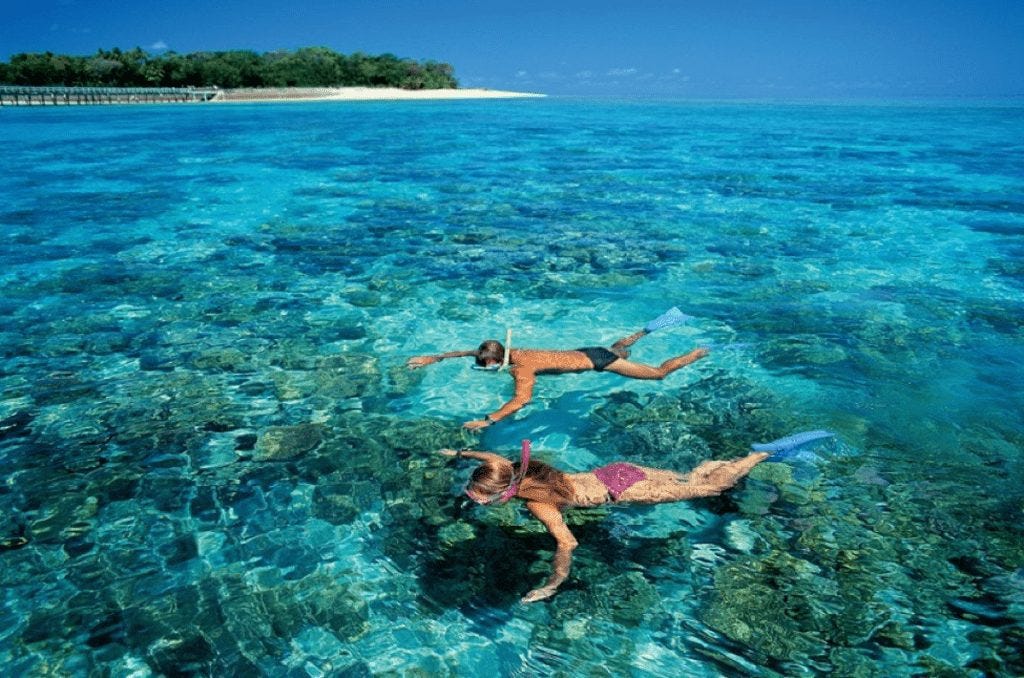 Snorkeling on the Barrier Reef