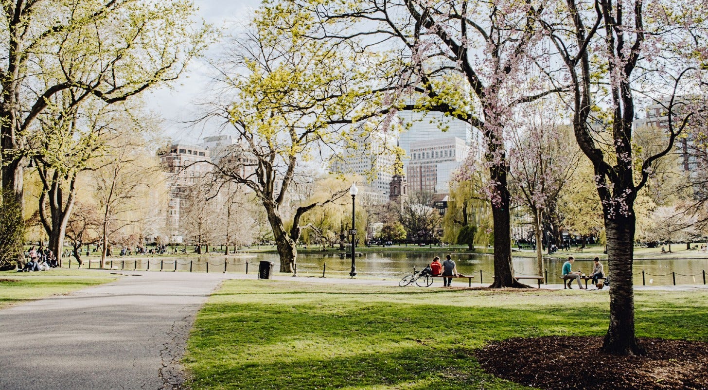 a lake in the centre of a city park