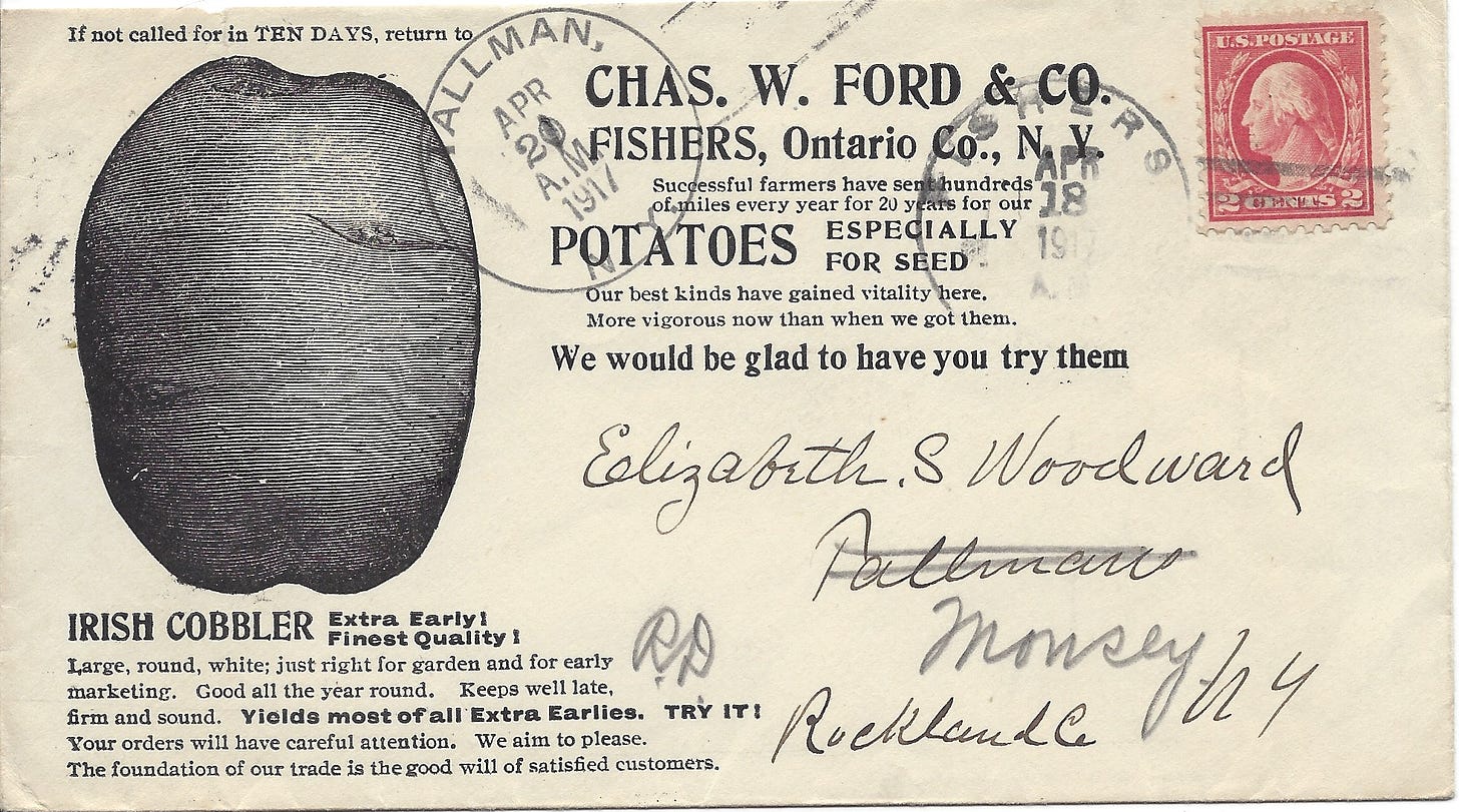 Forwarded 1917 letter featuring an Irish Cobbler potato