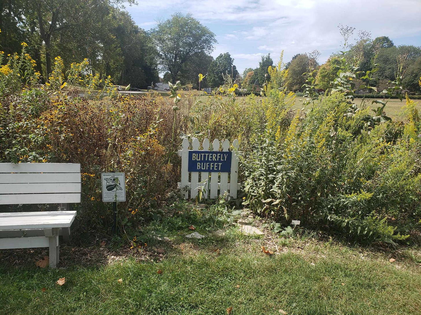 a little picket fence with a sign that says BUTTERFLY BUFFET and some very dry wildflowers