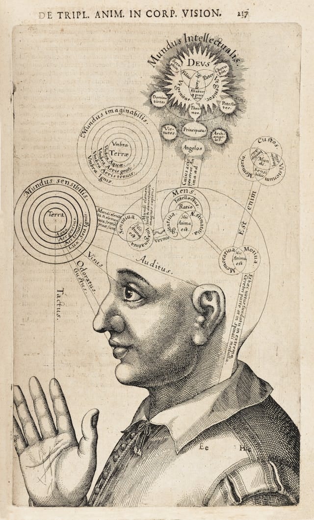 Diagram of the Human Mind – Product — The Public Domain Review