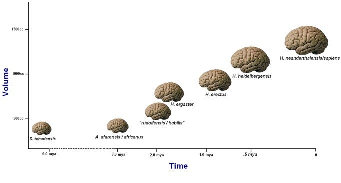 File:How-Could-Language-Have-Evolved-pbio.1001934.g002.jpg File:How-Could-Language-Have-Evolved-pbio.1001934.g002.jpg
