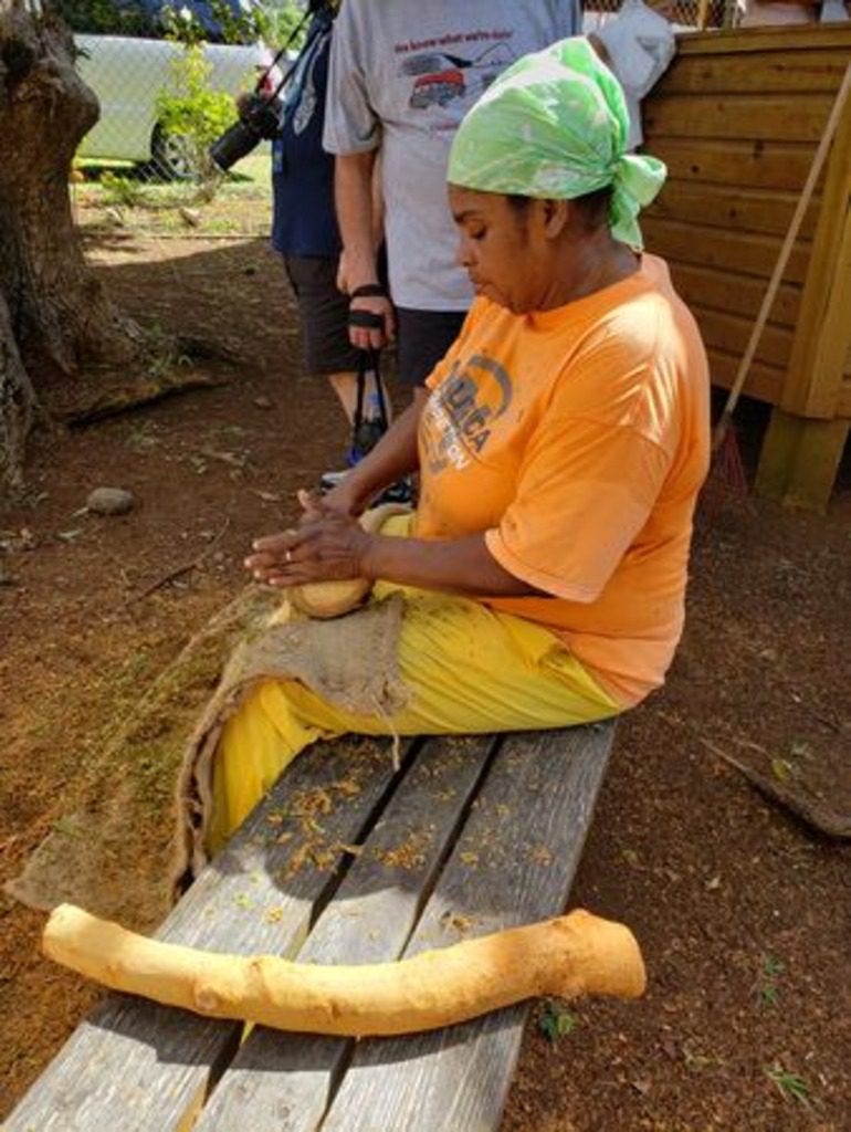 Scraping Cinnamon in Grenada