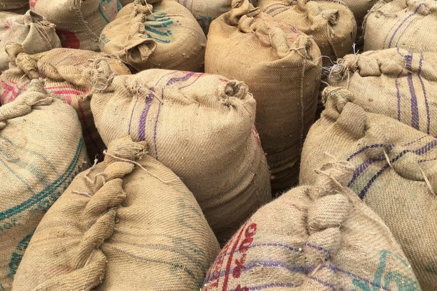 Grain-filled jute sacks with different colors of markings