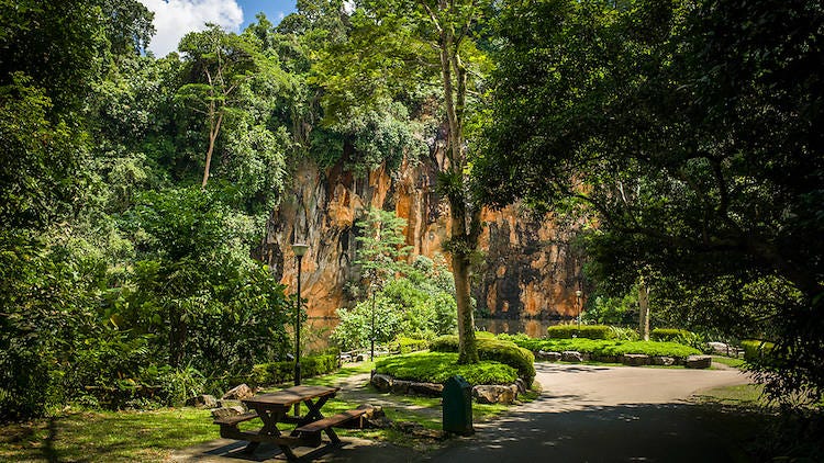 Bukit Batok Nature Park hiking trails