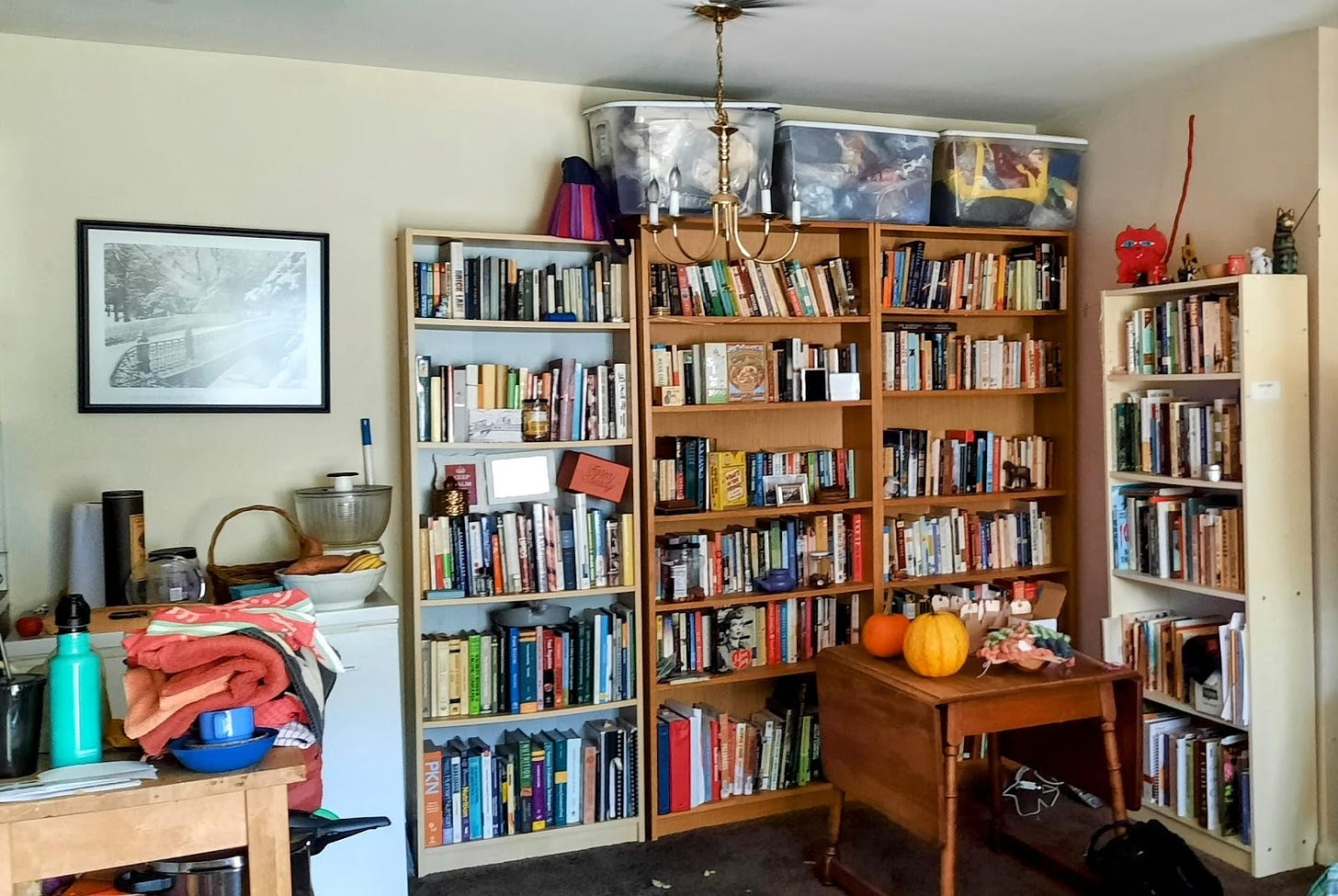 corner of my main room showing 4 bookcases, three totes of yarn and fiber and stuff