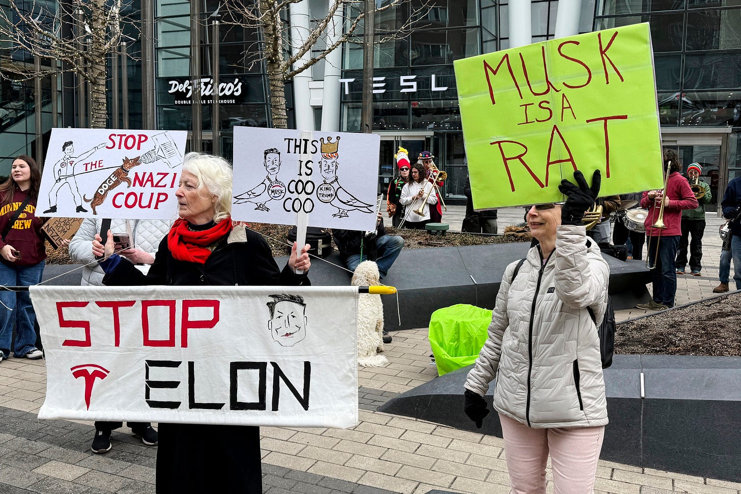 Anti Elon Musk protest in the US