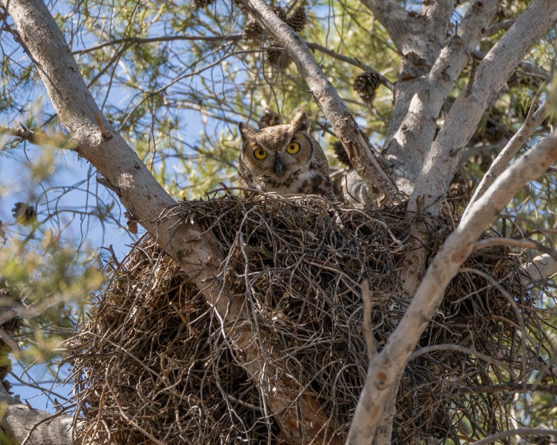 20240413-gho-30-Edit 3.jpg