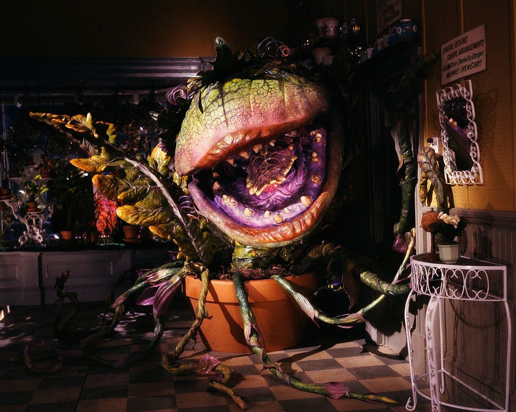 Little Shop of Horrors Gives Us a Disaster Do-Over