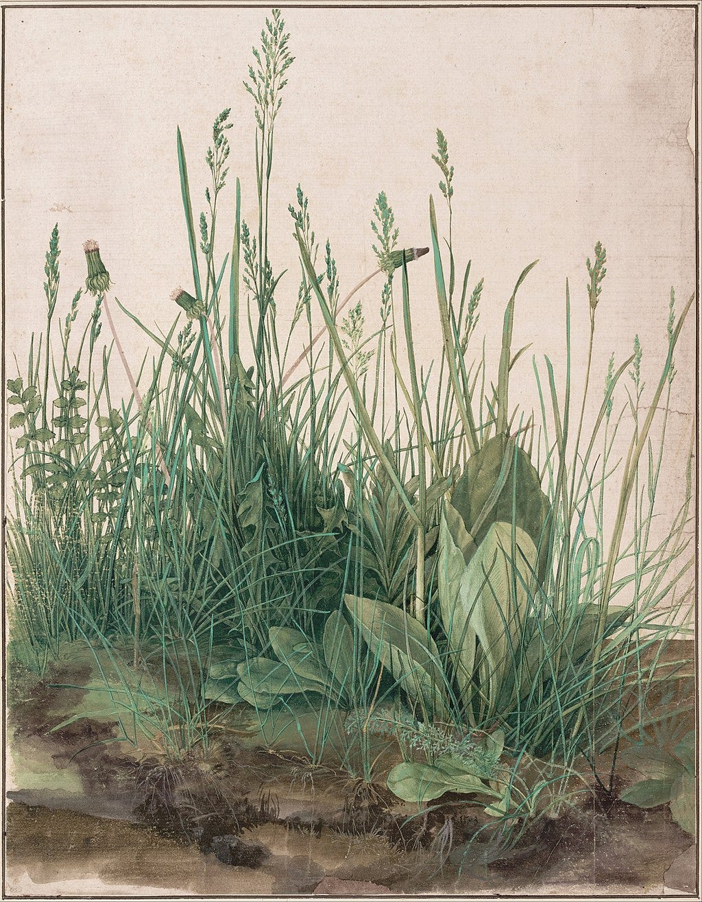 From the Wikipedia article on this image: "The watercolour shows a large piece of turf and little else. The various plants can be identified as cock's-foot, creeping bent, smooth meadow-grass, daisy, dandelion, germander speedwell, greater plantain, hound's-tongue and yarrow.[5]  The painting shows a great level of realism in its portrayal of natural objects.[6] Some of the roots have been stripped of earth to be displayed clearly to the spectator. The depiction of roots is something that can also be found in other of Dürer's works, such as Knight, Death, and the Devil (1513).[7] The vegetation comes to an end on the right side of the panel, while on the left it seems to continue on indefinitely. The background is left blank, and on the right can even be seen a clear line where the vegetation ends."