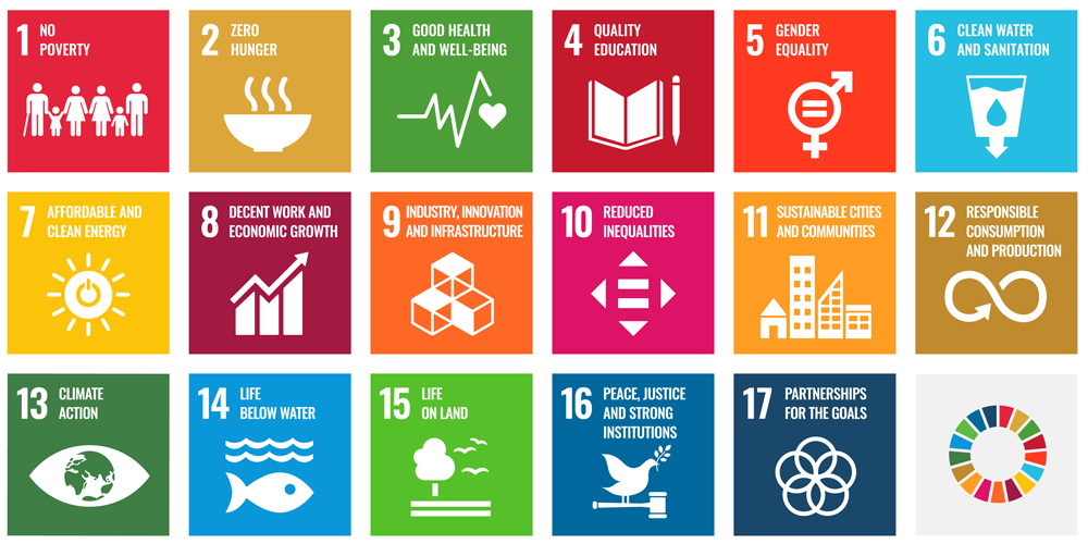 Sustainable Development Goals (SDGs) - Sustainability at HUG | HUG -  Hôpitaux Universitaires de Genève