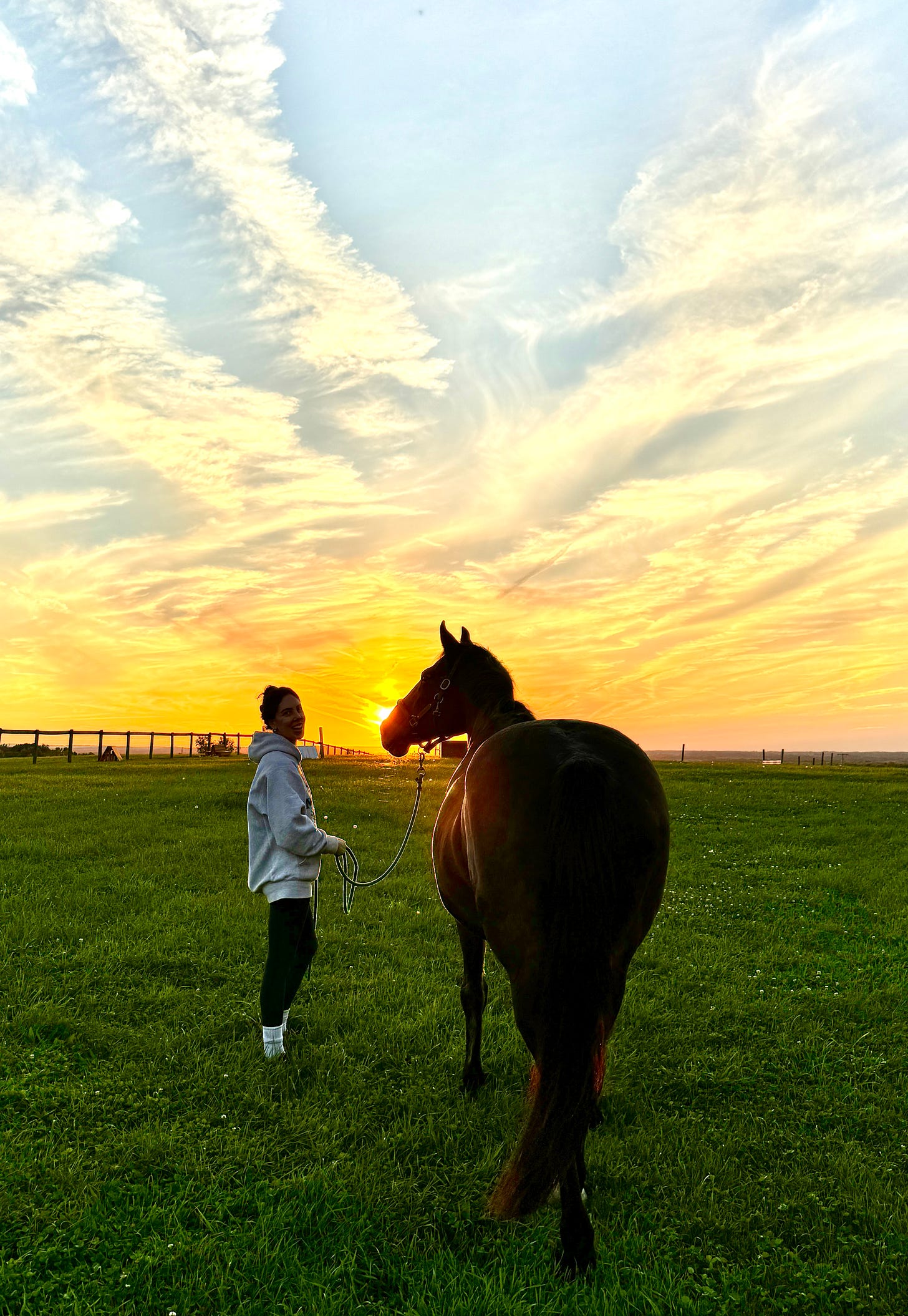 Woman standing in a field during a beautiful sunset grazing a horse 