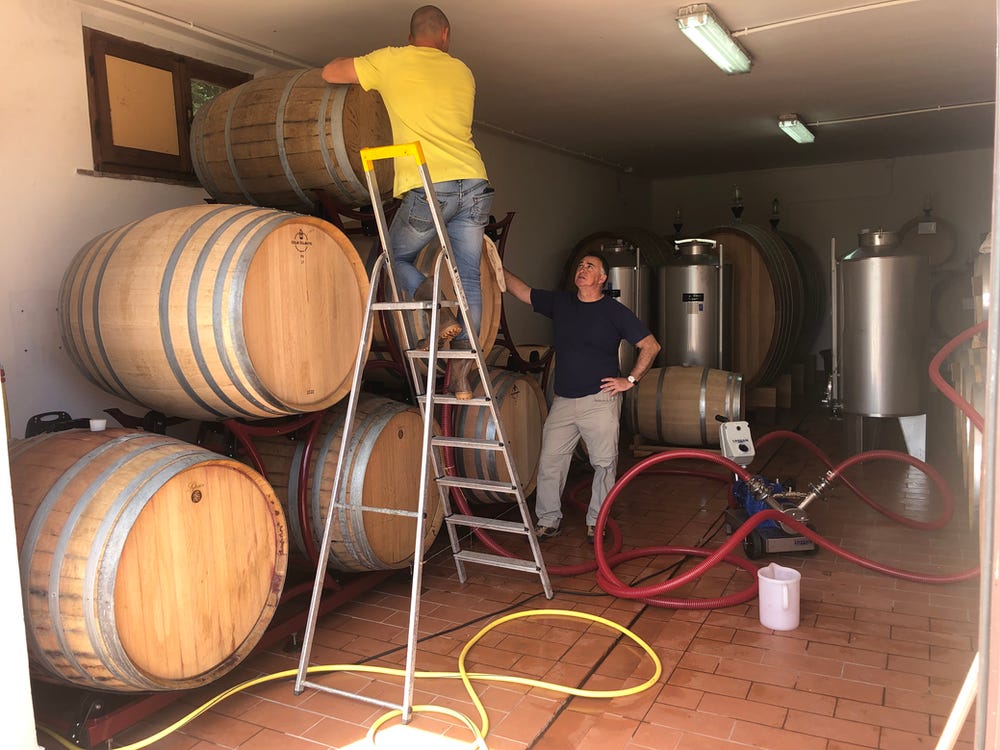 A picture of two people in a winery, with wooden barrels around them.