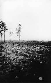 Treblinka II Extermination Camp (July 1942 - November 1943) - Articles -  Institute of National Remembrance