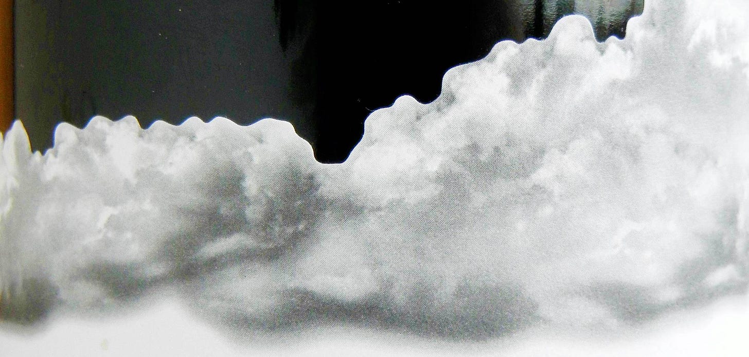 Black Cloud Fleuvage Pinot Noir 2010 Label Detail