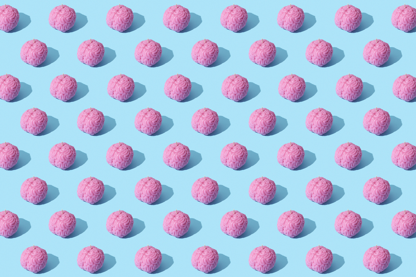 60 pink plastic brains sitting on a pale blue background