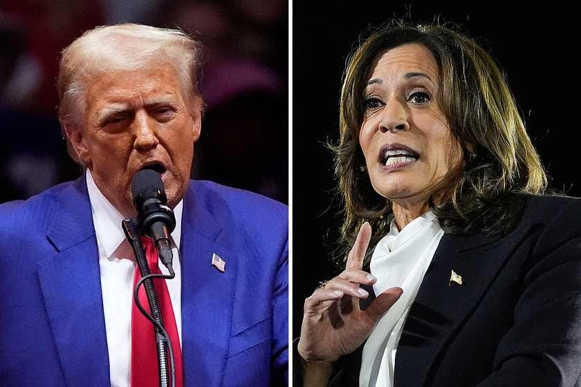 (Left) Republican presidential candidate former President Donald Trump speaks during a campaign rally at Madison Square Garden in New York on Oct. 27. (Right) Democratic presidential candidate Kamala Harris speaks at a campaign event on the Ellipse near the White House in Washington Oct. 29. Photo: VCG