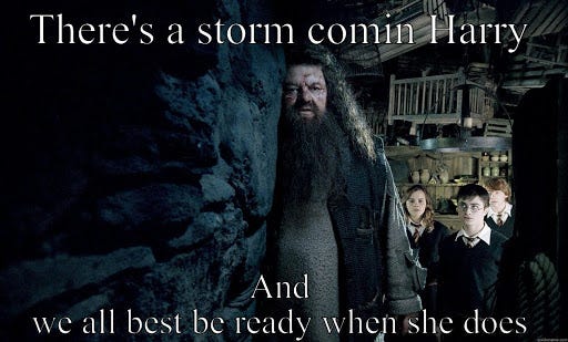 Hagrid: There's a storm comin' Harry. We all best be ready when she does...