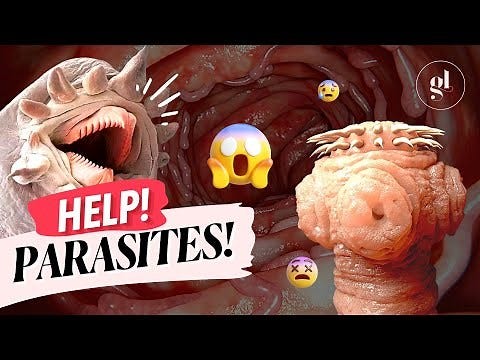 Your Complete Guide To An Effective Parasite Cleanse