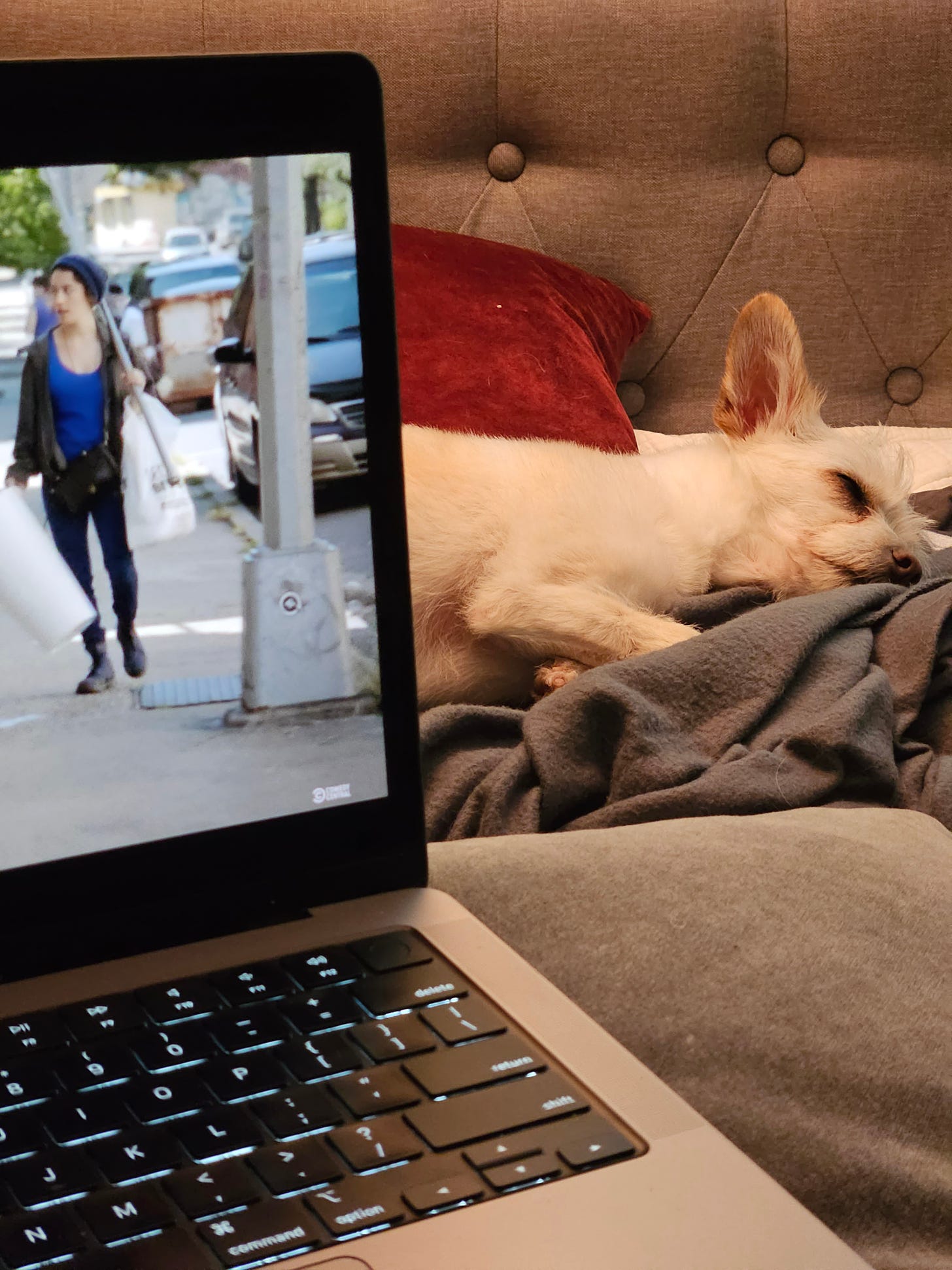 A laptop screen shows a still from "Broad City" in the foreground. Behind it, Emily's small white chihuahua-like dog, Oliver, sleeps peacefully in a pile of blankets.