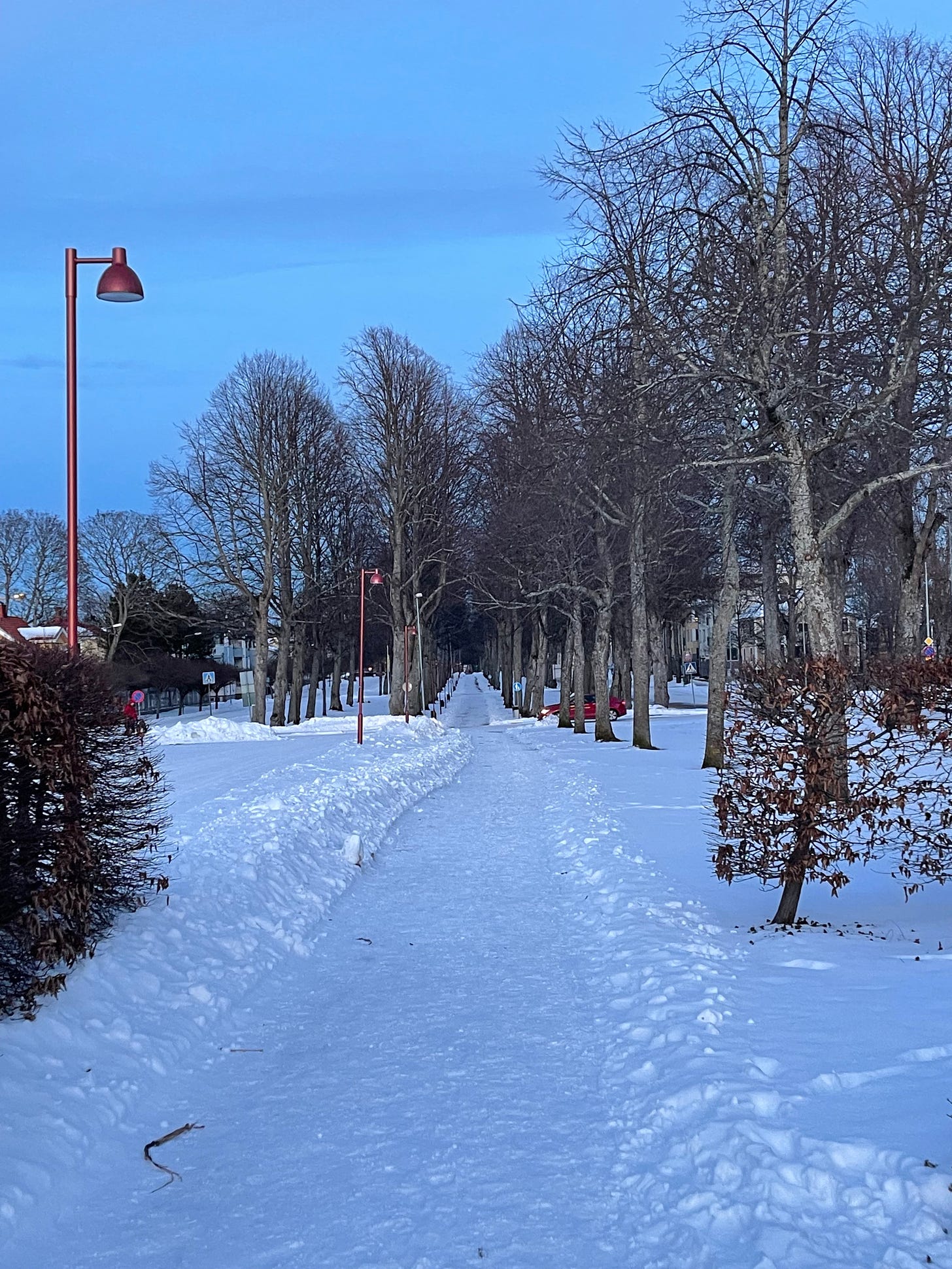 A long snow covered path through rows of tall, linden trees lining a wide esplanade. A red lamp post in the foreground on the left 