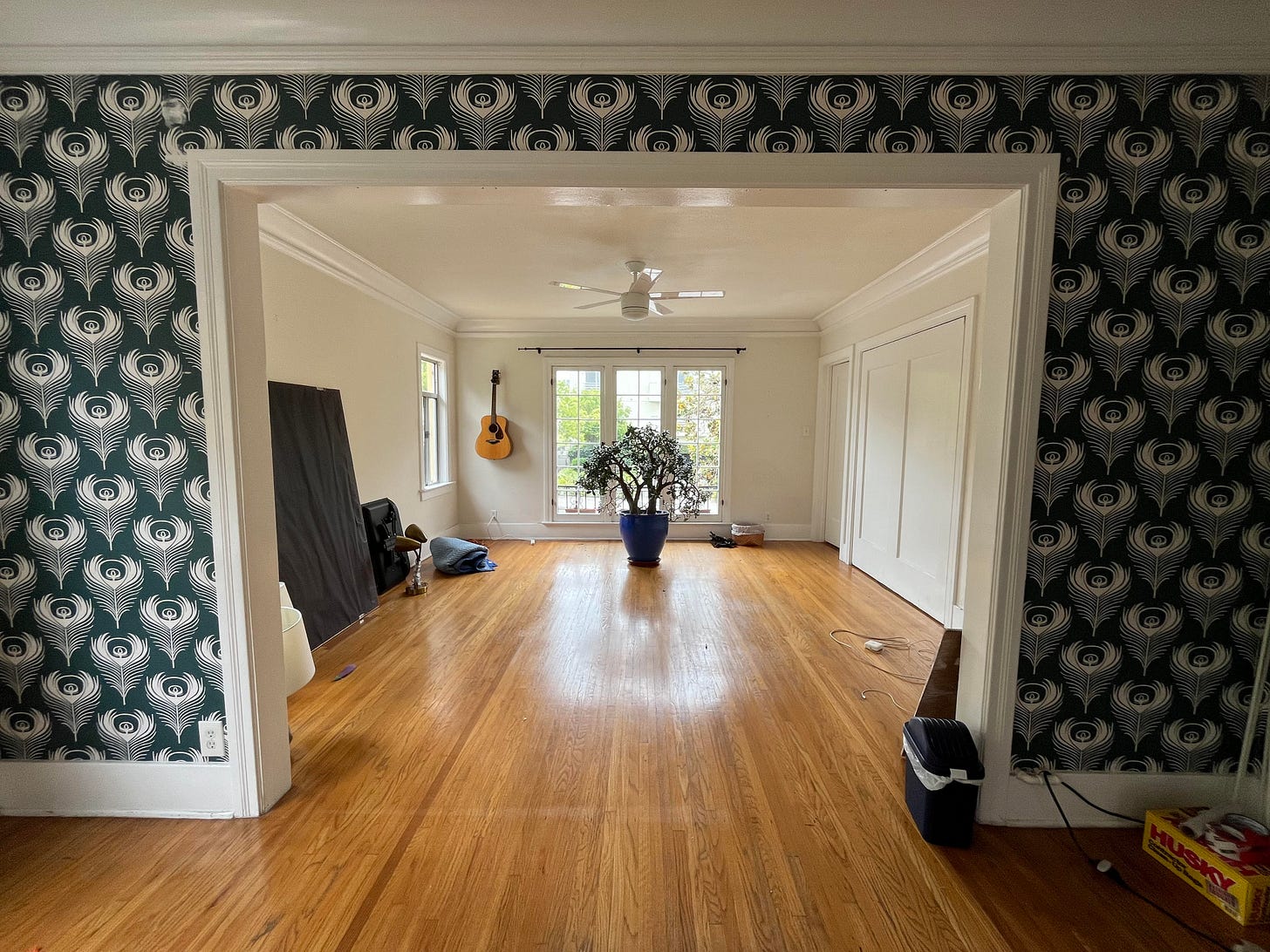 A photo of a large room with hardwood floors and patterned wallpaper, with a giant jade tree framed by french door windows in the center.