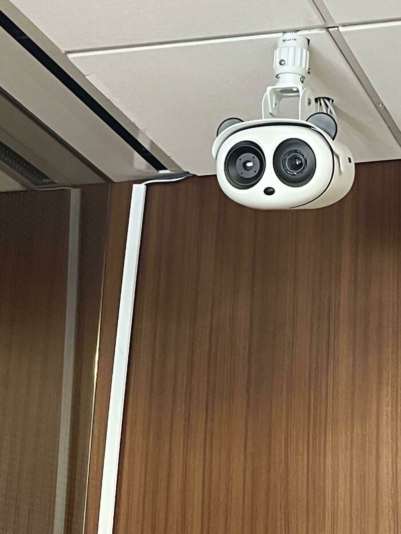 The camera in the Er looks like a surprised panda