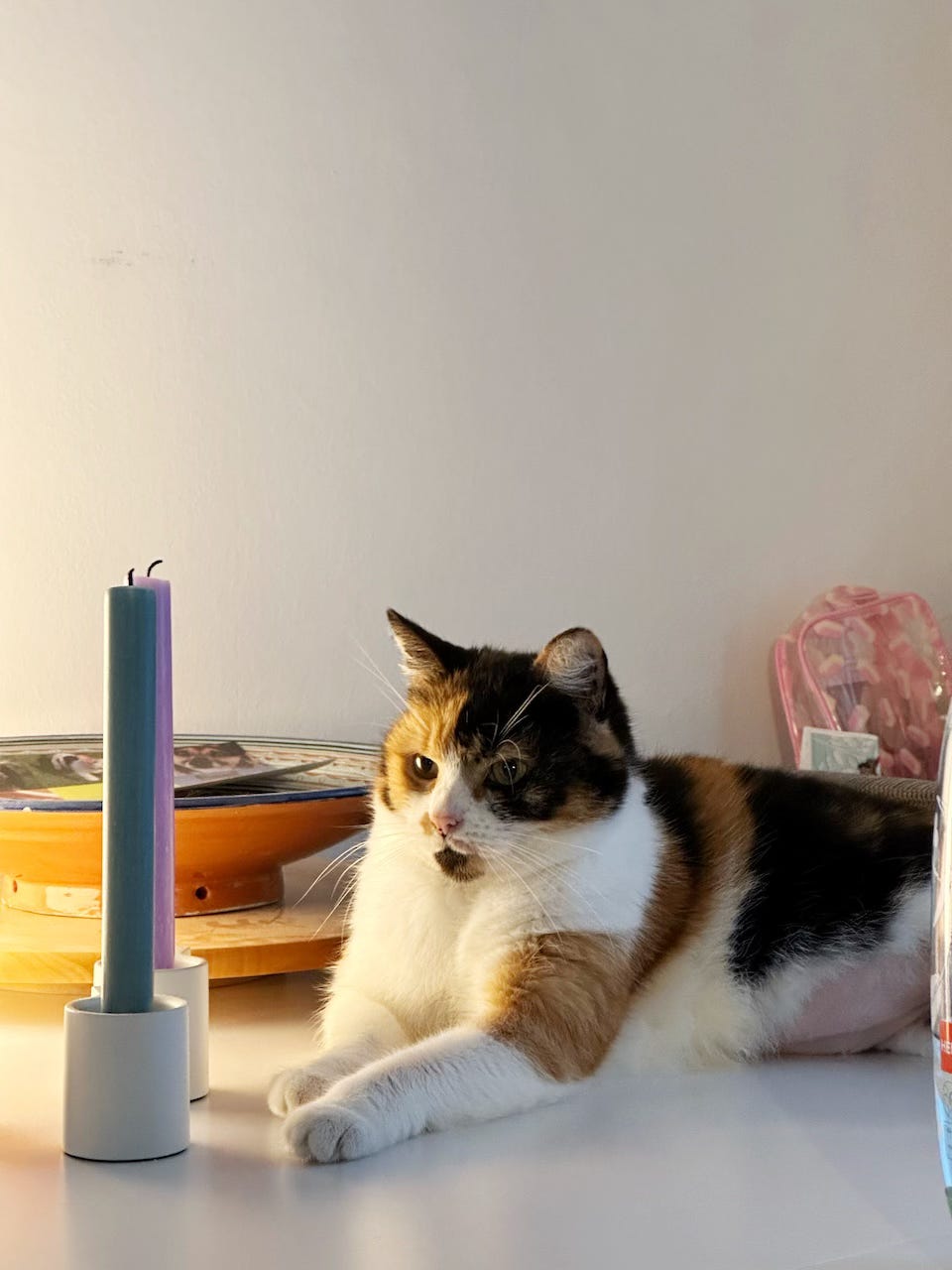 Wit met bruin en zwart gevlekte kat ligt op tafel en kijkt je soort van met een side-eye aan.