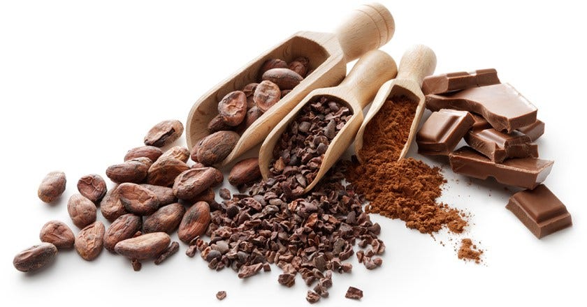 Cacao, Cocoa & Chocolate: What are the Differences and Do They Matter? -  BCBST News Center