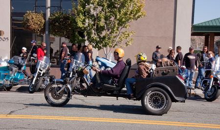 Anacortes Oyster run