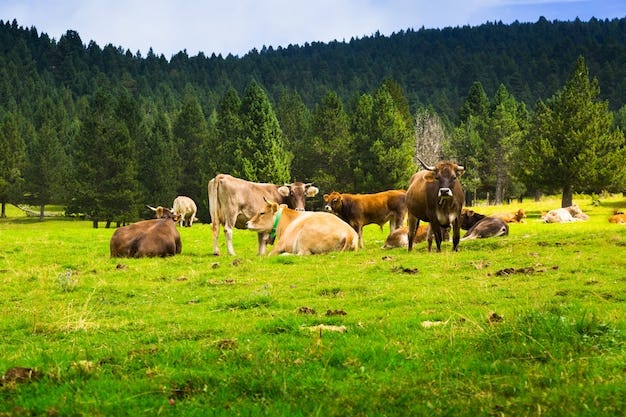 Foto gratuita poche mucche al prato