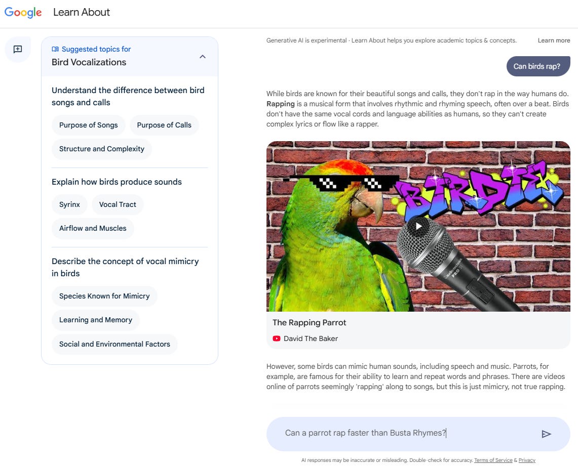 Google's "Learn About" answers for "Can birds rap?" with chapters about freestyle rap