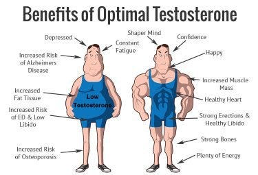 What is the use of testosterone in muscle building? - Quora