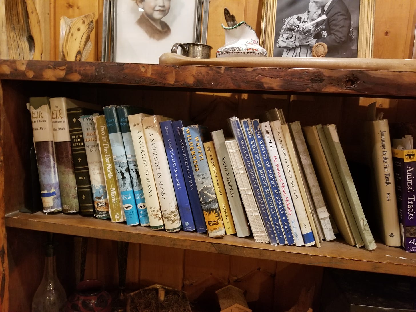 collection of Murie-authored books on a shelf