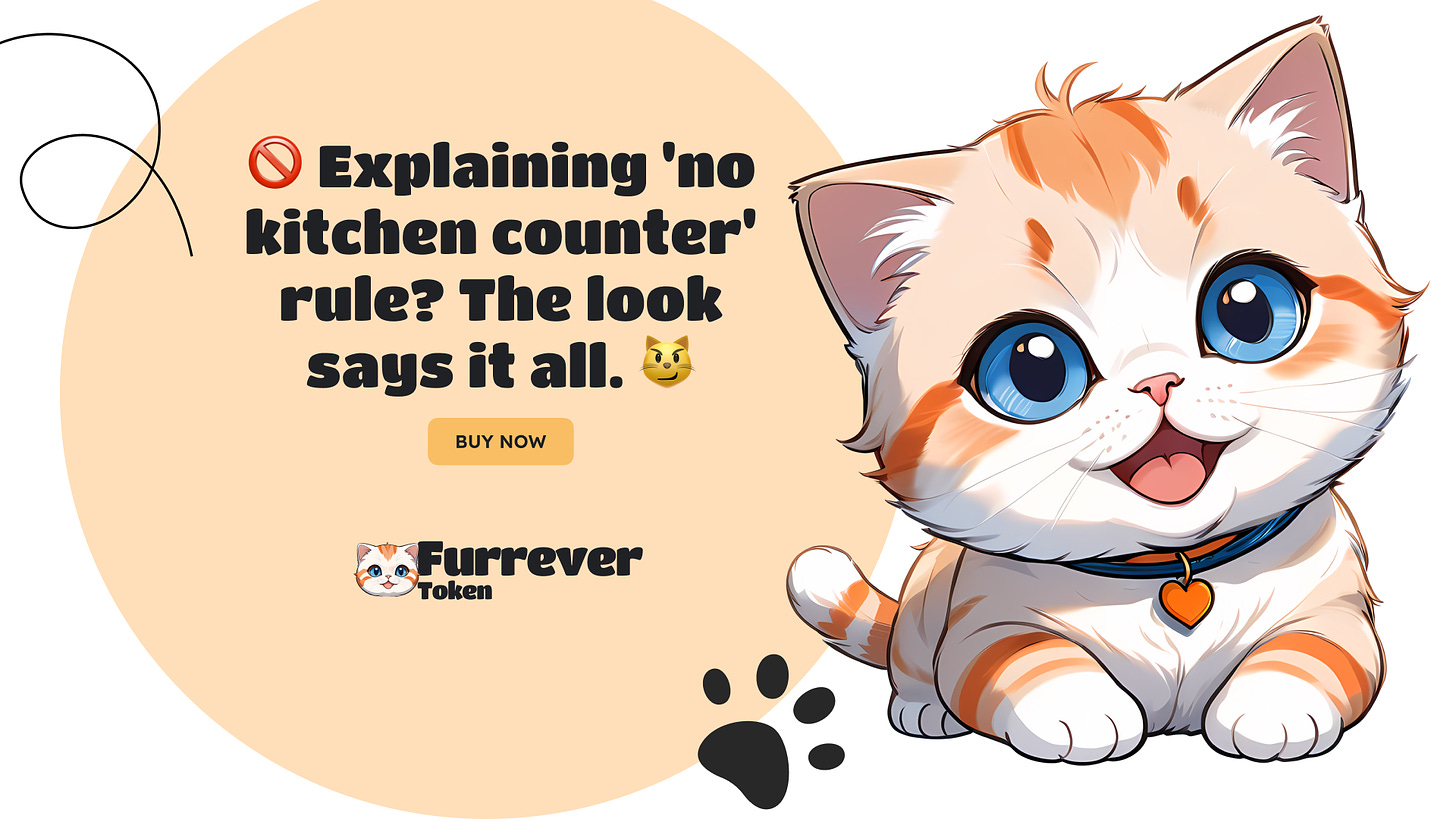 Furrever Token (FURR): The New Crypto Contender Captivating Investors