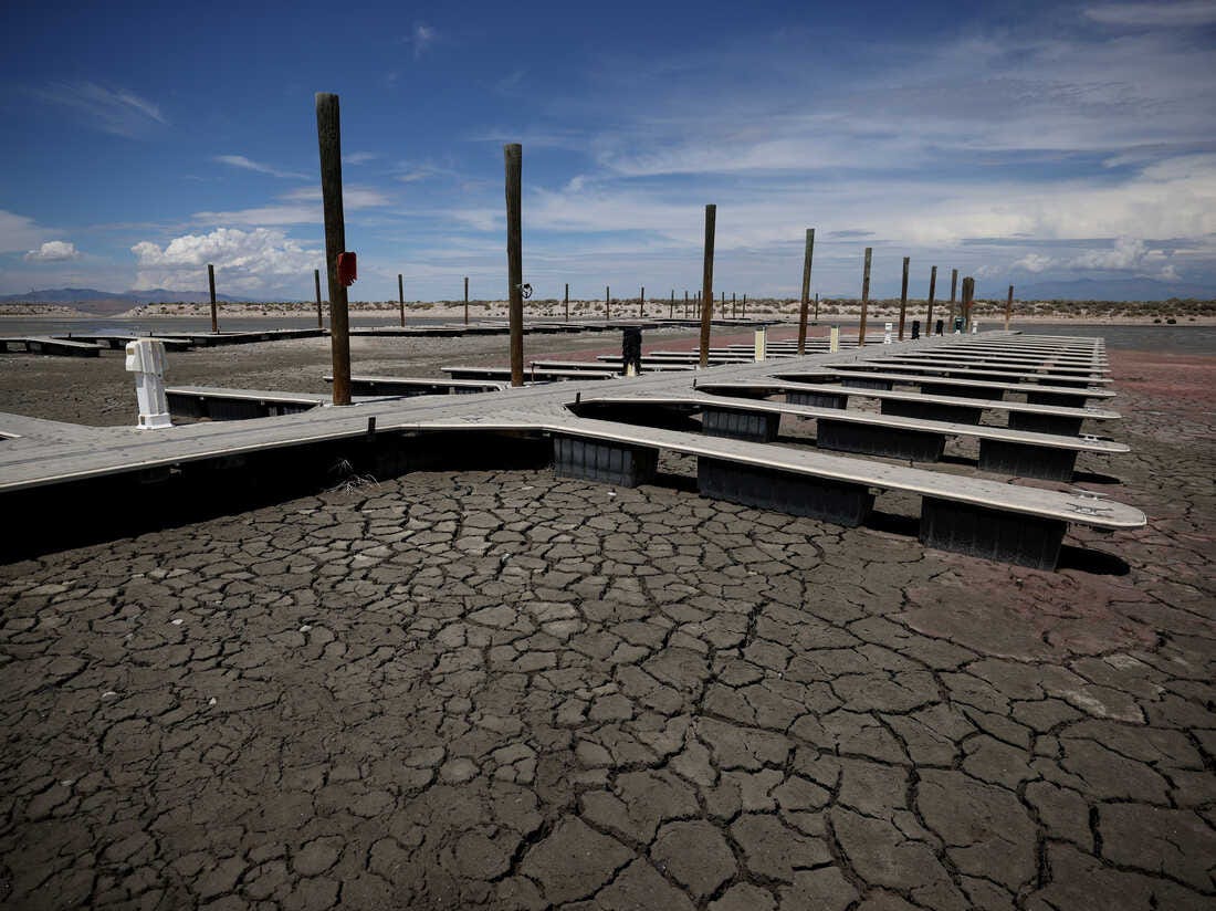 Scientists warn of ecological collapse if Utah's Great Salt Lake keeps  shrinking : Short Wave : NPR