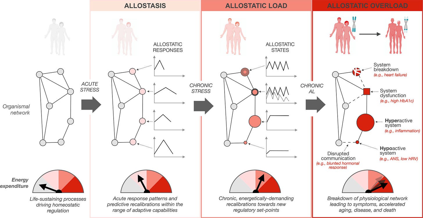 A diagram of different types of stress

Description automatically generated