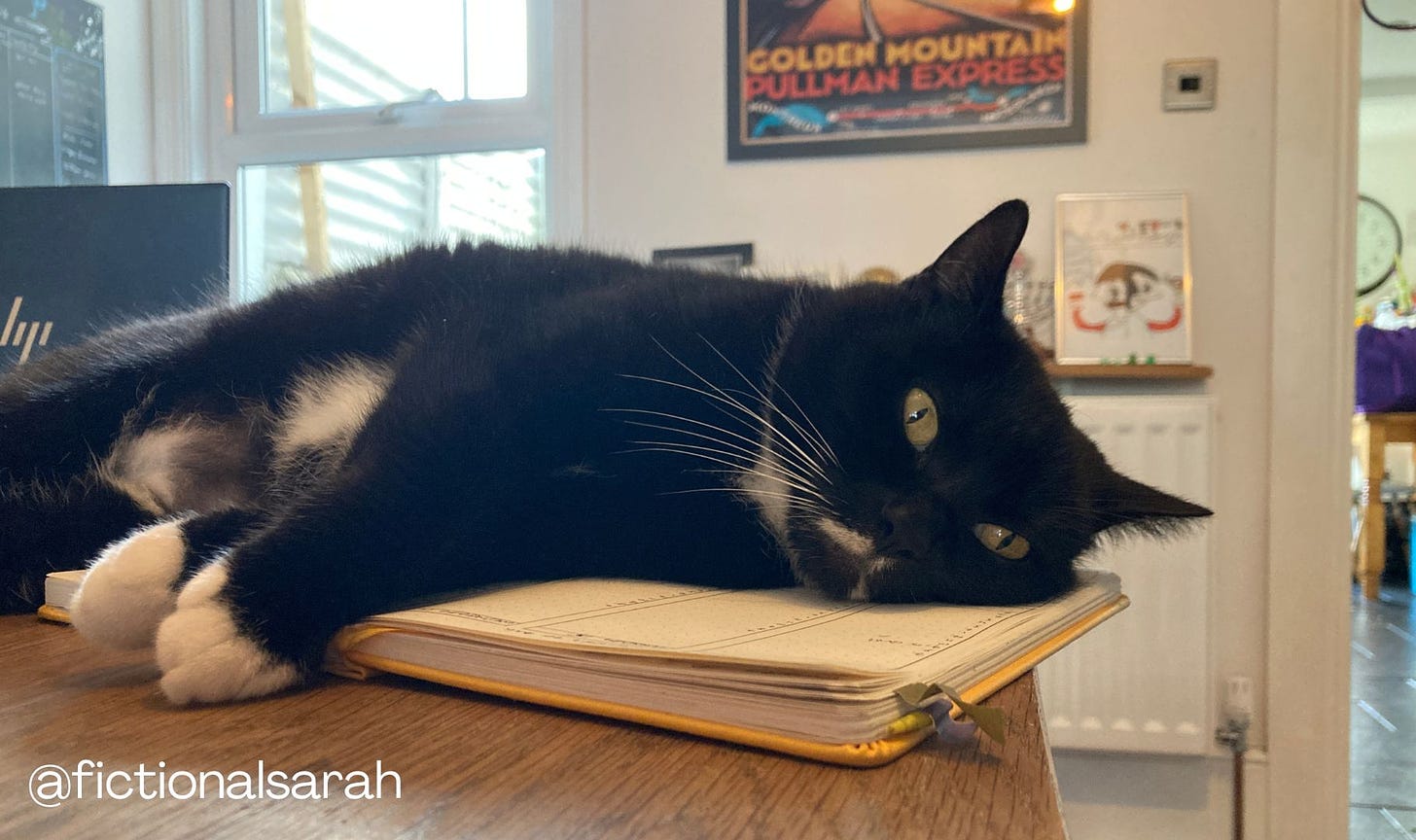Willow the black and white anti work cat flopped dramatically on her side on top of my bullet journal. She's making sure I can't work, while also begging me for attention. Spoiler: she is not attention starved at all. 