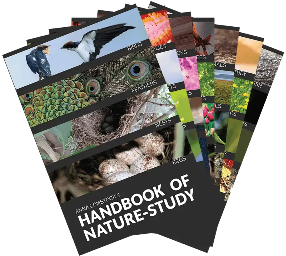 Handbook of Nature Study Bundle