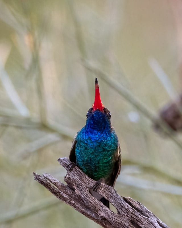 20240312-mby-167-Edit.jpg