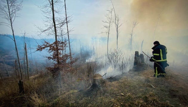 У Мін’юсті нагадали про штрафи за спалення листя та сухої трави