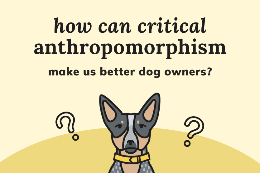 The text "how can critical anthropomorphism make us better dog owners" atop a pale yellow background above a graphic illustration of a blue heeler dog