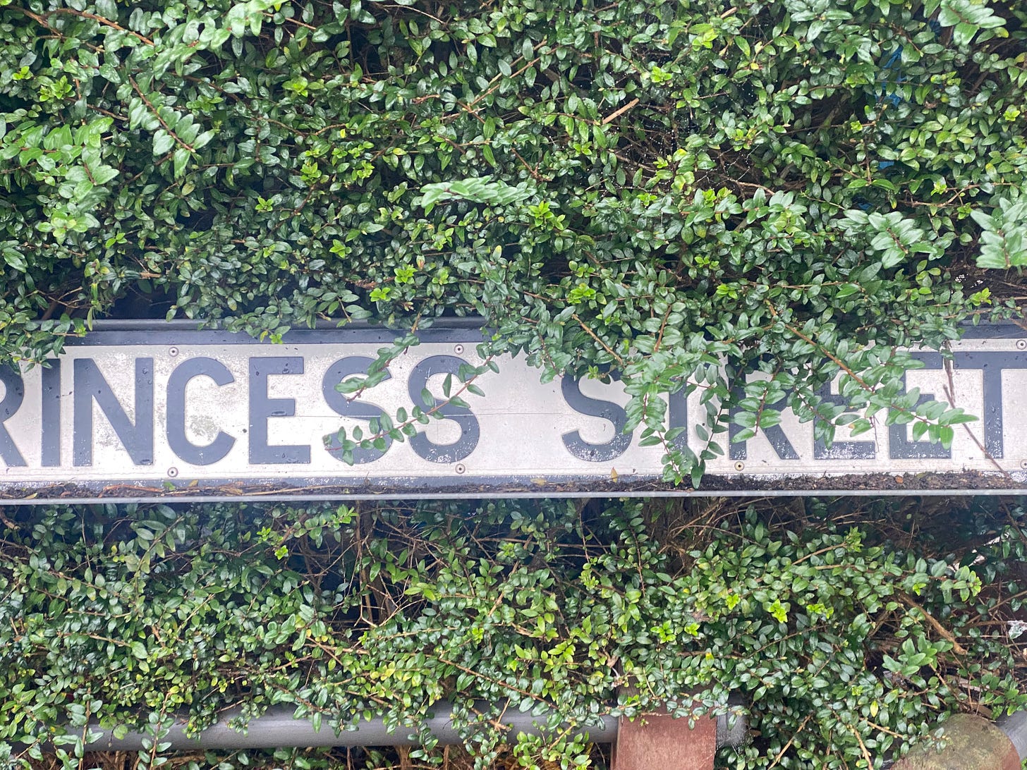 Partially obscured by foliage, a street sign saying 'Princess Street'