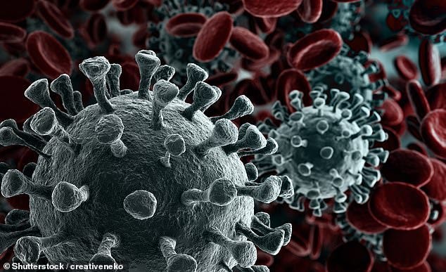 More than a third (31,955) of flu cases have been registered in New South Wales (stock image)