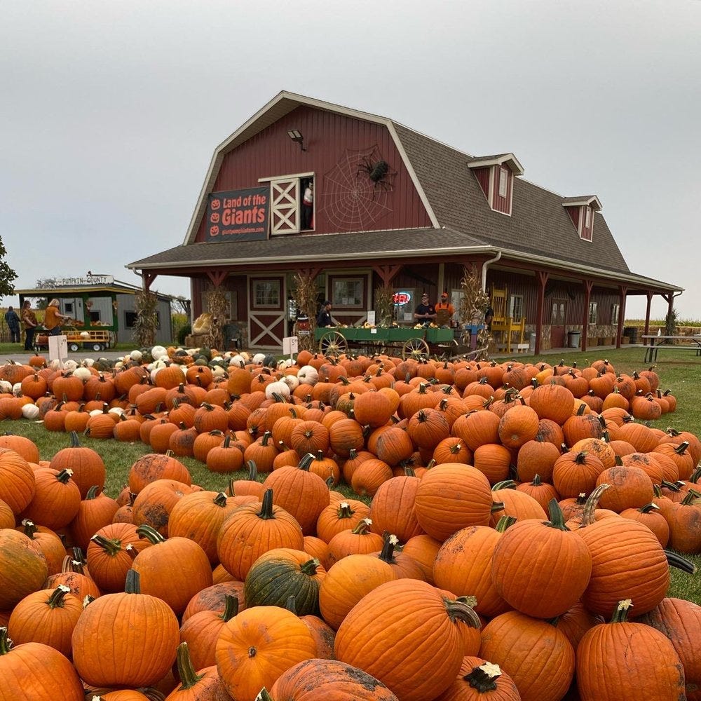 Land of the Giants pumpkin farm in Sturtevant, WI