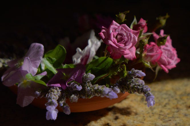 bowl with zinnias, lavender, and miniature rose