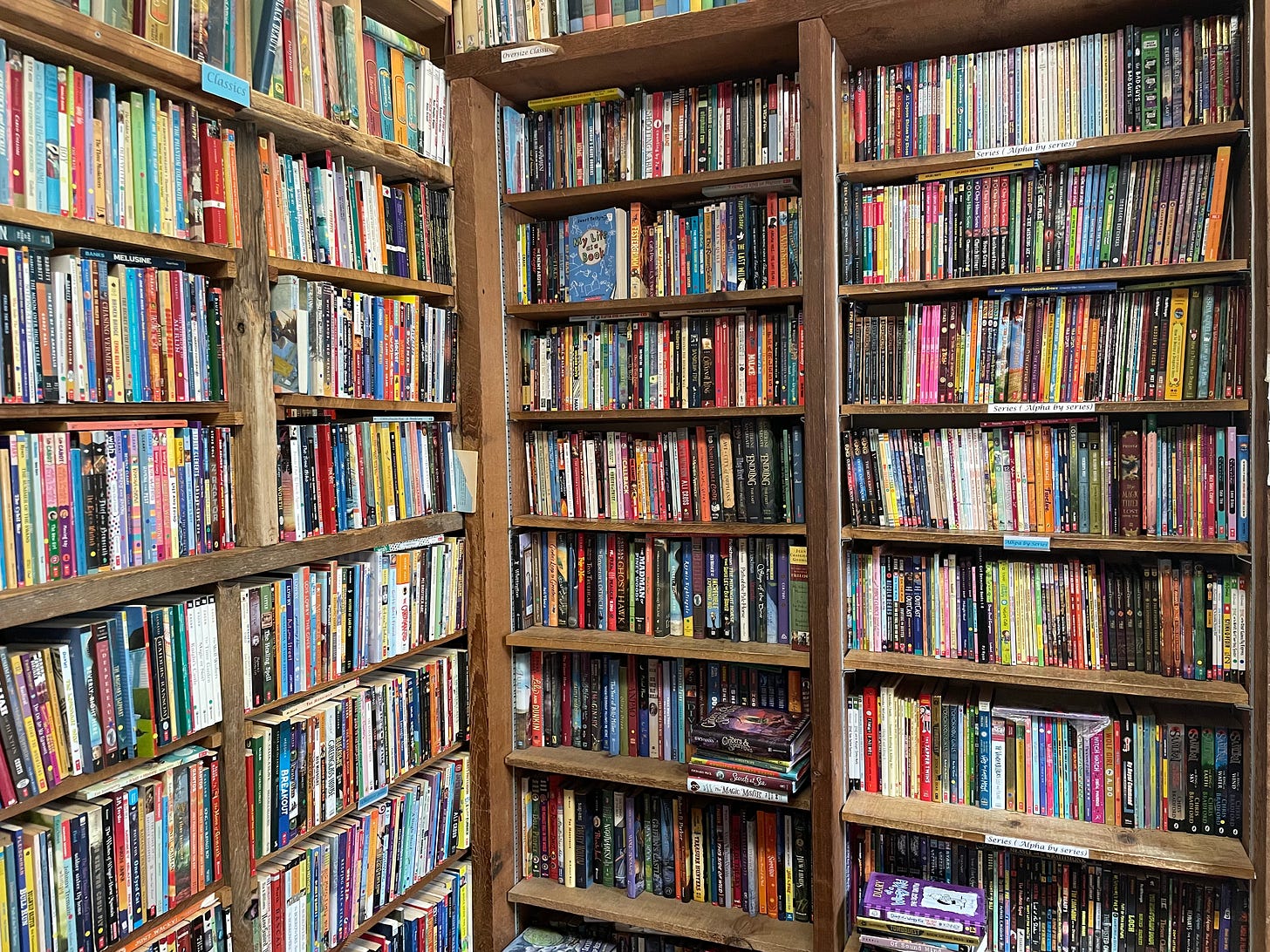 Shelves of a bookstore, with titles organized on them from top to bottom.
