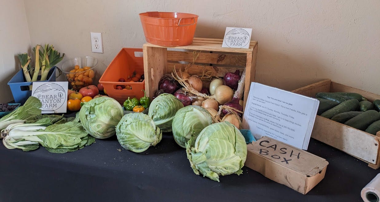 a table of farm produce
